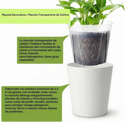 Vista 3 de Olla de riego automático de 6 pulgadas con maceta transparente en Blanco