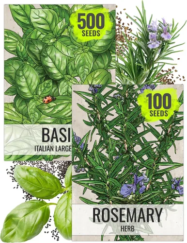 Vista 8 de Seed Needs Shiso - Semillas de hierbas variadas, paquete de 2 sin OMG y perilla de reliquia