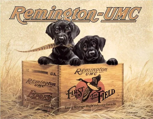 Vista 8 de Desperate Enterprises Señales de estaño Remington