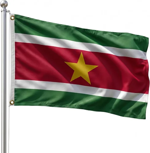 Vista 185 de DMSE - Bandera nacional beninesa beninesa de la República de África Occidental, 2 x 3 pies, 100 % poliéster, 100 % poliéster, resistente a los rayos