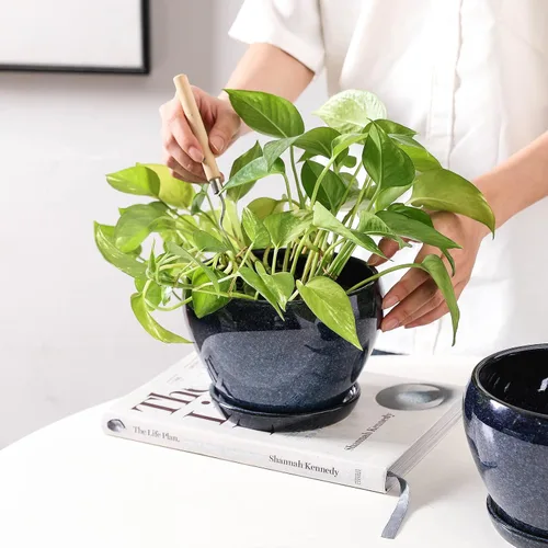 Vista 3 de vicrays Macetas de cerámica para plantas de interior - Maceta de 6.5 pulgadas con orificio de drenaje y platillo para suculentas, orquídeas, flores