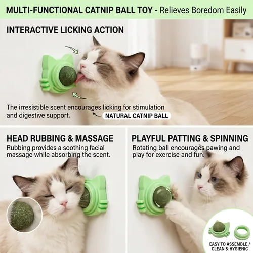 Vista 3 de Juguete de pared para gato, bola de recarga de hierba gatera