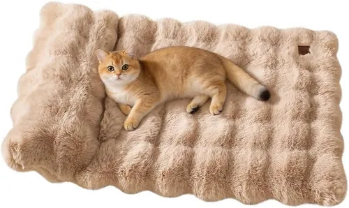 Vista 14 de SOMAHE Cama para gatos y alfombrilla para perros pequeños, almohada elevada Blanco