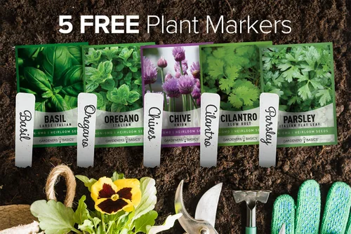Vista 2 de Gardeners Basics Semillas de hierbas culinarias para plantar en interiores y exteriores, 5 paquetes que incluyen albahaca, cilantro, cebollino