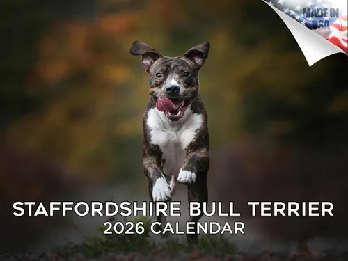 Vista 174 de Calendario de Lebrel Afgano 2025 2026, calendario mensual de pared de raza canina, 12" x 18" abierto, papel grueso sin traspaso, ideal para regalo