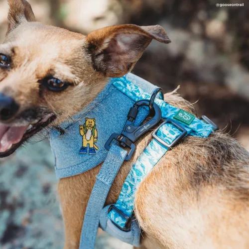Vista 4 de Lucy & Co. x Parks Project Adventures with Friends - Correa para perro, talla S Aventuras con amigos