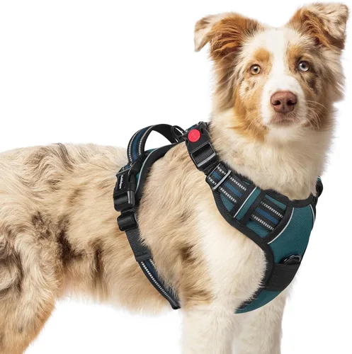 Vista 15 de Rabbitgoo - Arnés para perro de tamaño pequeño, arnés para mascotas sin tirones con 3 hebillas, chaleco acolchado suave ajustable con mango
