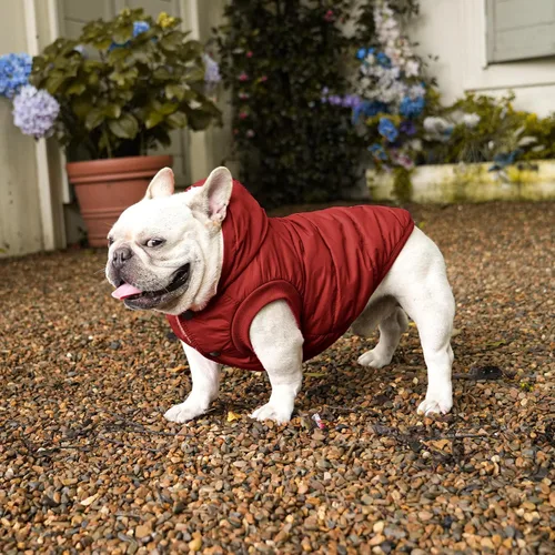 Vista 7 de Vecomfy - Sudadera con capucha para perro, forro de vellón, extra cálida, para invierno, chaqueta para perros grandes, abrigos con capucha para Rojo
