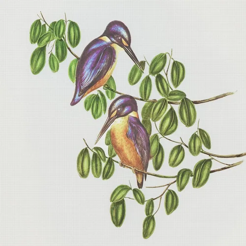 Vista 8 de Canguros australianos John Gould Counted Patrón de punto de cruz