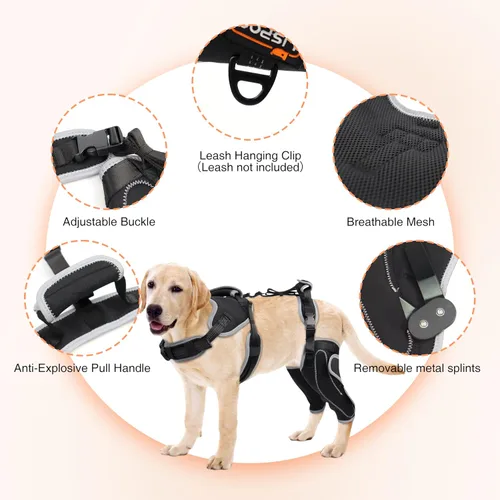 Vista 6 de Rodillera de ACL para perro para pierna desgarrada del ACL, soporte de ACL para piernas traseras de perros, soporte de pierna trasera de perro