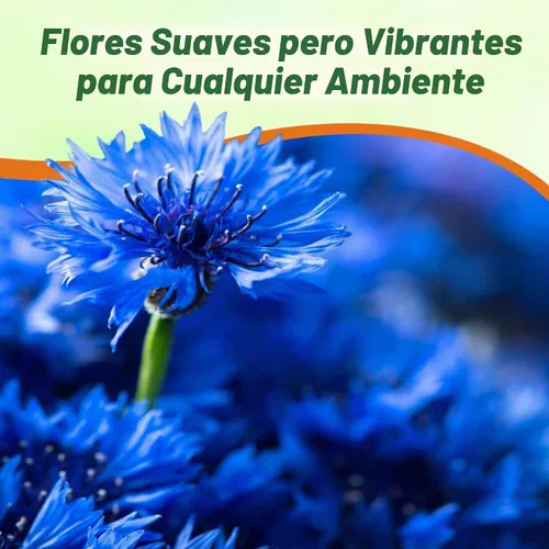 Vista 7 de Semillas de aciano Outsidepride, Azul