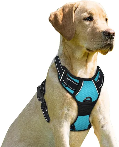 Vista 247 de BARKBAY - Arnés para perro sin tirones con clip frontal, material resistente y reflectante, asa de fácil control para pasear perros grandes