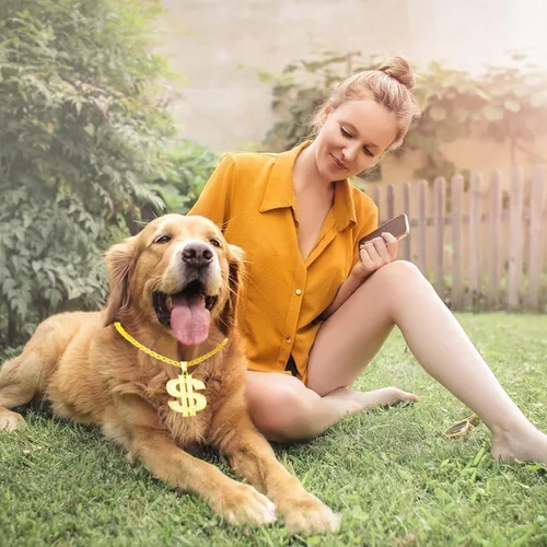 Vista 5 de FUNKA Collar de perro con cadena dorada ajustable de eslabones cubanos con colgante de signo de dólar de cristal, cadena de joyería para mascotas