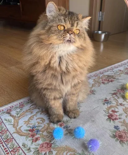 Vista 6 de 40 piezas de juguete de bola con purpurina favorita de gato de 1.5 pulgadas Bolas de pompones brillantes extra grandes de nueva