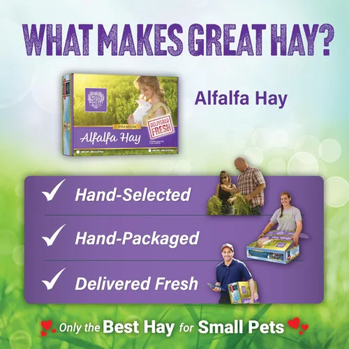 Vista 6 de Small Pet Select Alimento para mascotas con heno de alfalfa, 2 lb.