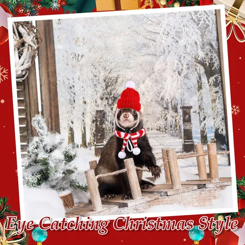 Vista 7 de 12 piezas de disfraces de Navidad de conejillo de indias de Navidad de animales pequeños, disfraz de Navidad, mini sombrero de Papá Noel, bufanda