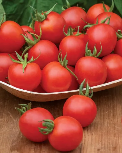 Vista 8 de Burpee Napa Grape - Semillas de tomates uva, 30 semillas