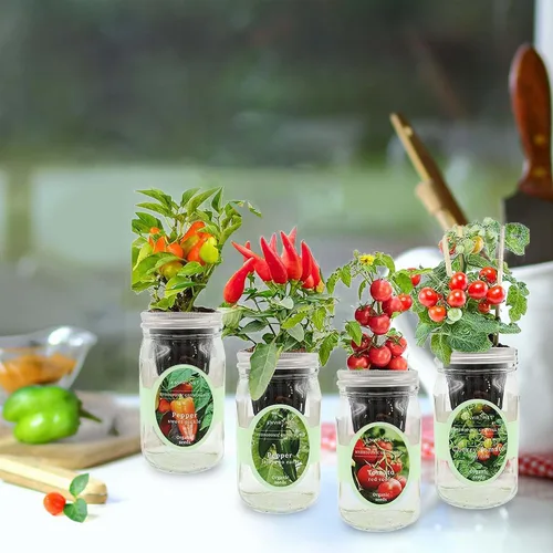 Vista 6 de Kit de cultivo de hierbas hidropónicas, tarro de masón de riego automático, kit de inicio de jardín de hierbas para interiores, cultiva 4 tipos