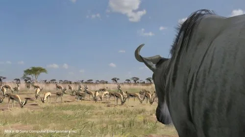 Vista 3 de Afrika - Playstation 3