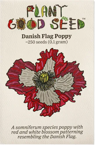 Vista 6 de Plant Good Seed Semillas de amapola de California, paquete de 300, semillas tradicionales para plantar flores, suministros de jardinería, jardín