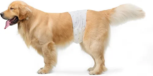 Vista 9 de Amazon Basics Pañales para perros machos, 30 unidades, XS, ultra absorbentes, desechables, con ajuste seguro, a prueba de fugas y cómodos
