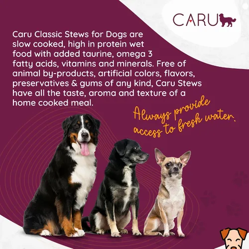 Vista 4 de Caru - Estofado de pollo Classics - Para perros - Apoya la salud general de las mascotas - Comida húmeda para perros - Ingredientes de grado humano