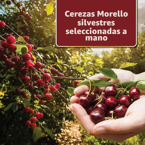 Vista 7 de Gourmanity - Cerezas de cóctel con brandied, Morello francés en Kirsch, 14.1 onzas