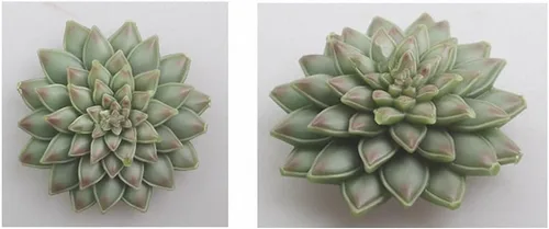 Vista 4 de Molde de fondant para plantas suculentas, molde de silicona MoldFun Succulents para velas, jabón, cera