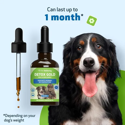 Vista 8 de Pet Wellbeing Detox Gold para perros - Suave apoyo de desintoxicación y eliminación, cuidado del sistema inmunológico, ortiga, cardo bendito, raíz