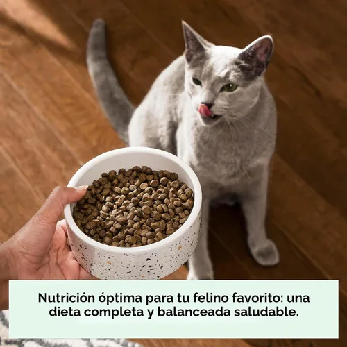 Vista 2 de Open Farm, Alimento seco para gatos sin granos, croquetas altas