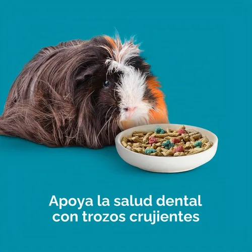 Vista 8 de Alimento Kaytee para cobayas modelo Forti Diet Pro Health Supports digestive health. Daily food for guinea pigs. Guinea pig pellets, prebiotics