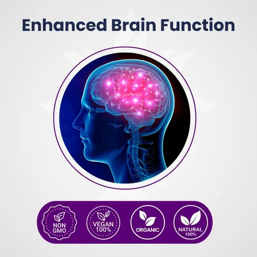 Vista 2 de Extracto de hongo de melena de leones, cápsulas de cognición (90 cápsulas) Extracto de polvo de hongo melena de león, suplemento cerebral, vitaminas