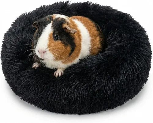 Vista 35 de Cama pequeña para perros extra pequeños para caniche de juguete Chihuahua Pomerania