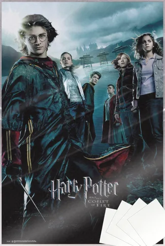 Vista 8 de Harry Potter y el cáliz de fuego - Póster de película (estilo regular) (tamaño: 24 x 36 pulgadas) (póster laminado)
