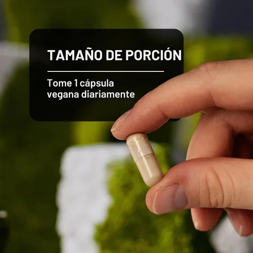 Vista 9 de NatureWise Extracto de grano de café verde, cápsulas de grano de café verde puro de 800 mg con 50% de soporte de ácido clorogénico
