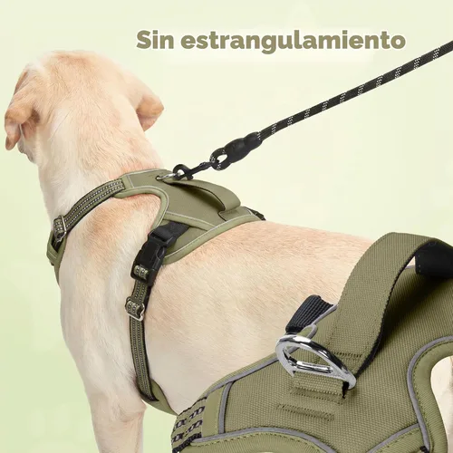 Vista 3 de Funfox Arnés para perro sin tirones, arnés de chaleco ajustable para mascotas, material súper suave con mango vertical, fácil control, paseo Verde