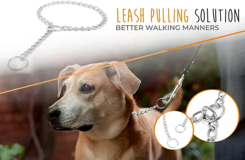 Vista 7 de Mighty Paw Collar deslizante. Collar de acero inoxidable de alta calidad. Fuerte, duradero, a prueba de clima, resistente al deslustre. Collar