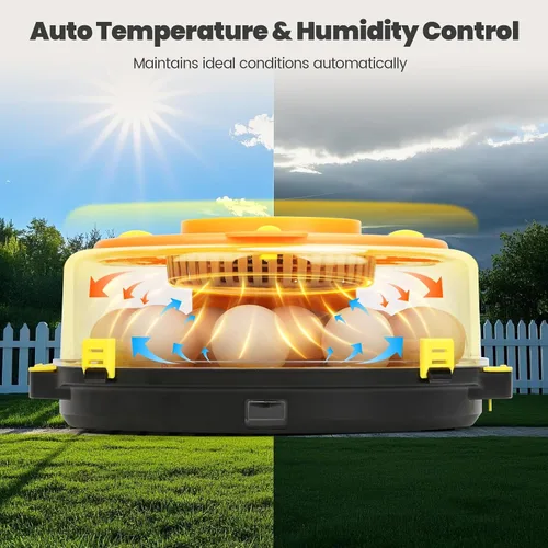 Vista 3 de Incubadoras para incubar huevos - Incubadora automática de pollitos de huevos de 15 huevos con 5 modos preestablecidos inteligentes y control