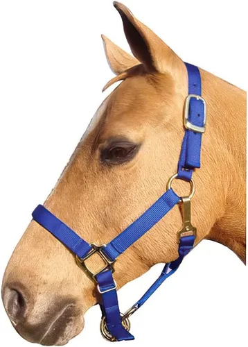 Vista 2 de Intrepid International Nylon Halter Rojo