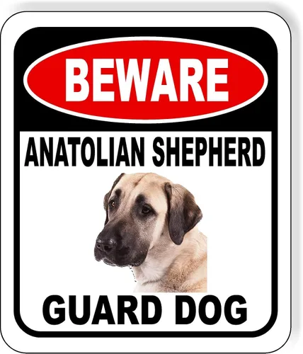 Vista 40 de BEWARE BASSETT HOUND GUARD DOG - Letrero compuesto de aluminio para exteriores, 8.5 x 10 pulgadas CUIDADO BASSETT HOUND GUARD PERRO