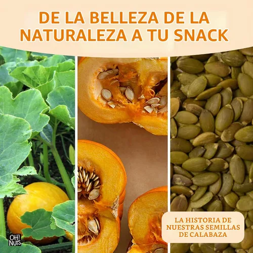 Vista 6 de Semillas de calabaza crudas sin sal, pepitas sin sal, 1 libra, 100% naturales