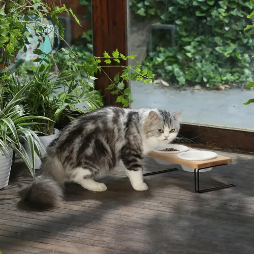 Vista 5 de FUKUMARU - Cuencos de cerámica elevados para gatos, cuencos con una inclinación de 15º para agua y comida en soporte de madera, juego para gatos
