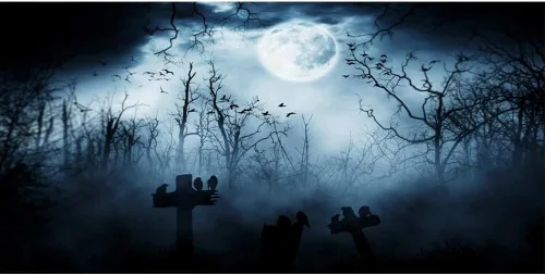 Vista 6 de Leyiyi Telón de fondo gótico de Halloween de 5 x 3 pies, grunge, cementerio, tumba, piedra cruz, cuervos, bosque brumoso, luna llena, murciélagos