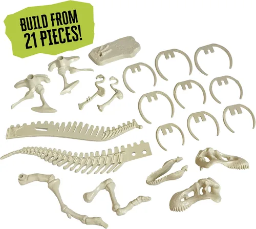 Vista 5 de Thames & Kosmos Kit de esqueleto de dinosaurio gigante Actividad STEM Construye un modelo de esqueleto T. Rex de 26 pulgadas de largo Explora