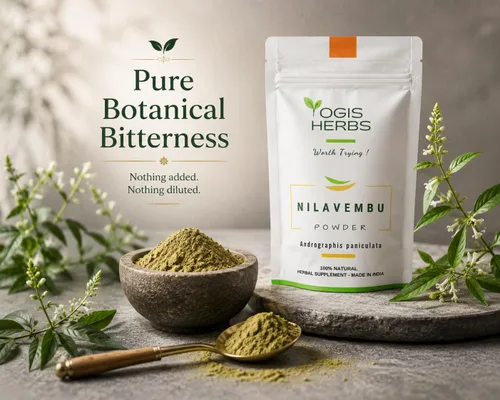 Vista 5 de YOGIS HERBS Polvo de Nilavembu - Andrographis paniculata/Kalmegh/King of Bitters - Hierba tradicional Tamil Siddha para el bienestar diario
