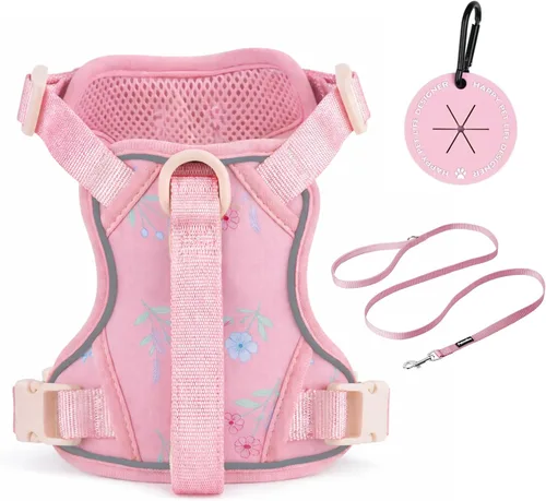 Vista 7 de Petmolico Arnés para perros pequeños, bonito arnés con dos clips para correa y mango suave, chaleco reflectante para cachorros fácil de caminar