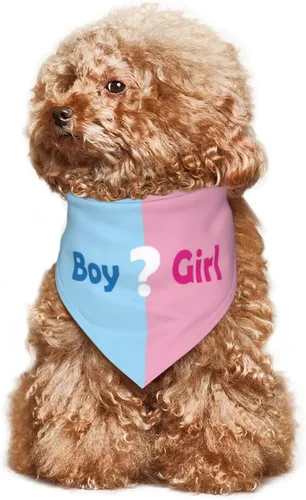 Vista 7 de ¿Qué será? Anuncio de embarazo, bufanda triangular para mascotas, revelación de género, accesorios de fotografía de baby shower (rosa)