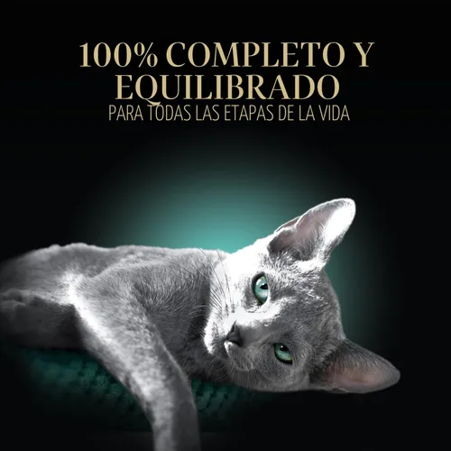 Vista 4 de Bandejas de pienso húmedo Sheba para gatos