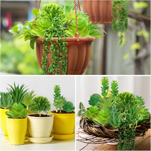 Vista 3 de QUOZUO Plantas suculentas artificiales, 14 plantas suculentas verdes, mini suculentas falsas para manualidades, hogar, jardín, oficina, fiesta