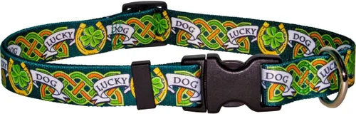 Vista 10 de Yellow Dog Design Collar de perro irlandés Glass Is Half Full para cuello de 14 a 20 pulgadas, mediano de 1 pulgada de ancho